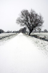 Winter on Aller Moor Somerset Levels England
