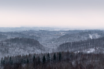 Hilly winter landscape with forest and scattered village, silent countryside on overcast dull day