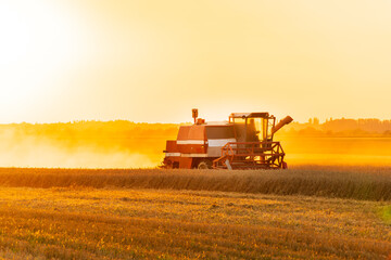 Combine harvester on the field at sunset. Combine harvester in wheat field. Agricultural landscape
