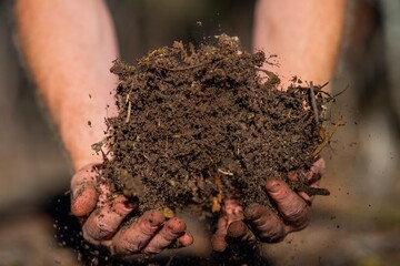 farmer collecting soil samples in a test tube in a field. Agronomist checking soil carbon and plant...