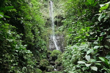 Wasserfall an einem Wildbach bei La Fortuna in Costa Rica