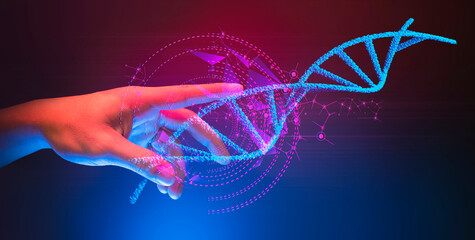 scientist or doctor touching hold the hologram of dna blood helix cell; medical healthcare science...