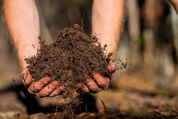 regenerative organic farmer, taking soil samples and looking at plant growth in a farm. practicing...