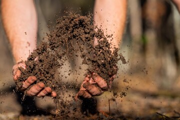 farmer hold soil in hands monitoring soil health on a farm..