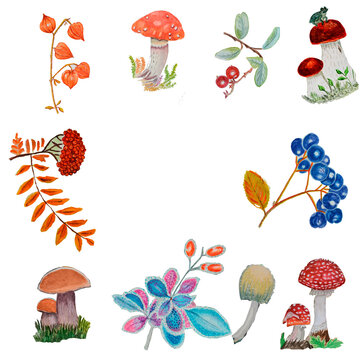frame of the berries and mushrooms.