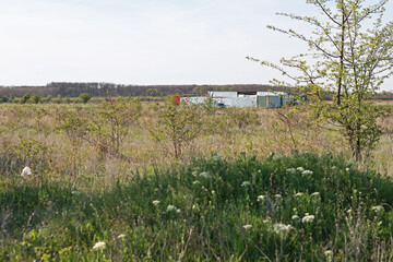 Field with dry grass. Uncultivated land.