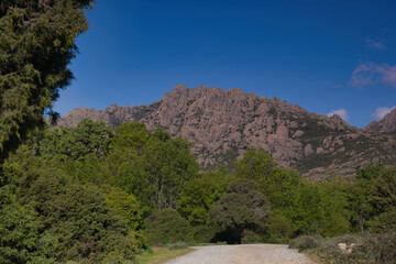 landscape, view, nature, mountains, plants, trees, greenery, spr