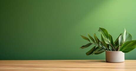wood table green wall background with sunlight window create leaf shadow on wall with blur indoor green plant foreground. panoramic banner mockup for display of product. eco friendly interior concept,