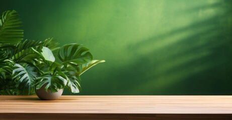 wood table green wall background with sunlight window create leaf shadow on wall with blur indoor green plant foreground. panoramic banner mockup for display of product. eco friendly interior concept,