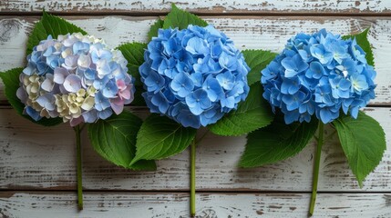   Three blue flowers and one pink flower are arranged on a white wooden table, surrounded by green foliage and a wooden plank in the background