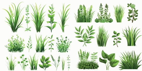 Realistic green grass, botanical greens, herbs, and leaves modern isolated icons set.