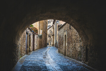 Fototapeta premium Soria - spanish city located in the province of Castilla y Leon, and on the margins of the Douro river