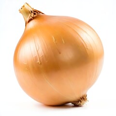 A large onion on a white background