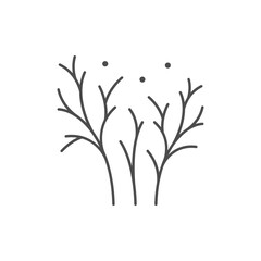 Dill or parsley line icon
