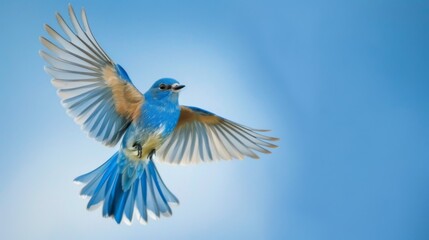 A blue bird flying through a blue sky
