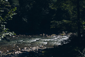 Beautiful sunrise in mountains with white fog below panorama