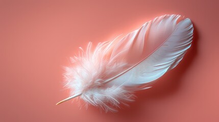   Close-up of a white feather against pink backdrop, featuring a shadow of the feather to its left