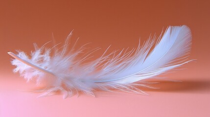   White feather, close-up, on pink and orange background Blurred feather image