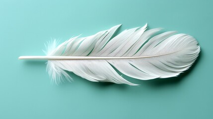   A tight shot of a pristine white feather against a backdrop of tranquil blue, featuring a droplet of water nestled at the feather's edge