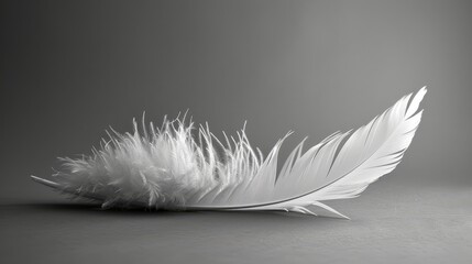   A white feather atop a gray table, beside a black-and-white photograph of a bird's wing
