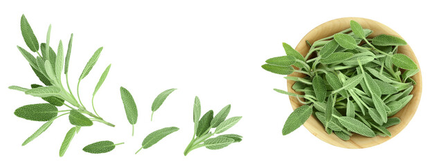 fresh sage herb in wooden bowl isolated on white background. Top view with copy space for your text. Flat lay