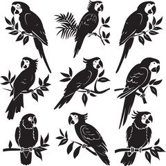 set of parrots