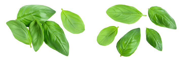 Fototapeta premium Fresh basil leaf isolated on white background with full depth of field. Top view. Flat lay