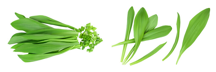 Ramson bunch vegetable isolated on white background with  full depth of field, Top view. Flat lay - obrazy, fototapety, plakaty