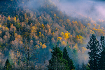 Atmospheric hill in the fall