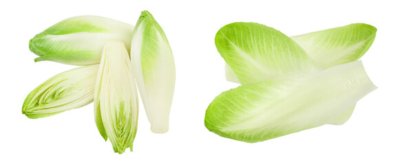 Chicory salad isolated on white background with  full depth of field. Top view. Flat lay - obrazy, fototapety, plakaty