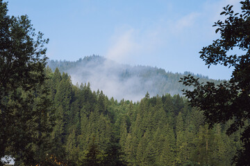 Wooden hotel in Carpathian mountains. Location: Zakarpattya region, Ukraine
