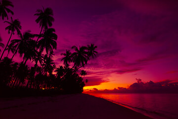 Tropical beach during vivid sunset with calm ocean and coconut palm trees silhouettes and colorful...