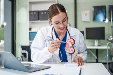 Caucasian woman sits at a desk, kidney model, gallstones, glomerulonephritis, acute and chronic kidney disease, infectious diseases, abnormal ureters, cysts, and urinary system cancer.
