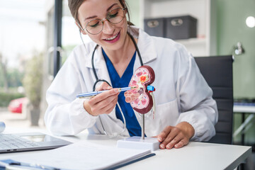 Caucasian woman sits at a desk, kidney model, gallstones, glomerulonephritis, acute and chronic...