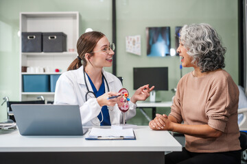 Obraz premium Caucasian woman and elderly Asian woman discuss kidney model issues like gallstones, glomerulonephritis, acute/chronic kidney disease, infections, abnormal ureters, cysts, urinary system cancer.