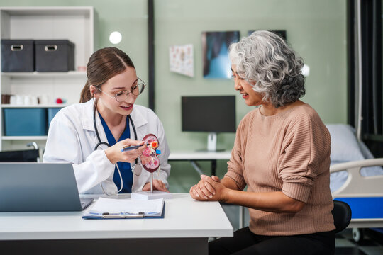 Caucasian woman and elderly Asian woman discuss kidney model issues like gallstones, glomerulonephritis, acute/chronic kidney disease, infections, abnormal ureters, cysts, urinary system cancer.