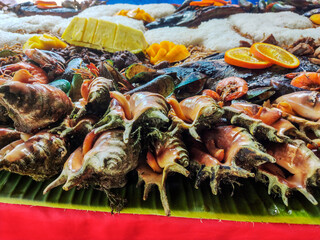 Siargao Boodle Fight