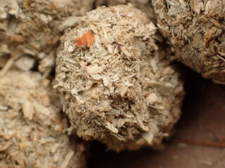 二ホンノウサギのフン