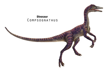 Compsognathus illustration. Small brown and beige striped dinosaur. © inna72