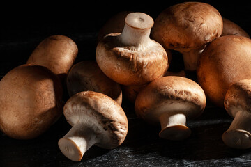 brown mushroom on black wood background - 801204801