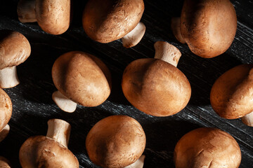 brown mushroom on black wood background - 801204815