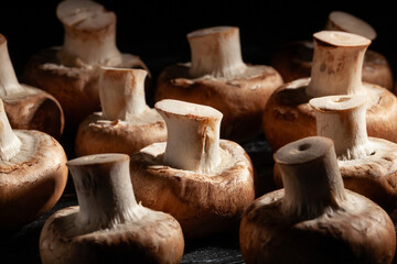 brown mushroom on black wood background - 801204833