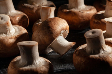 brown mushroom on black wood background