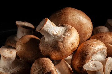 brown mushroom on black background