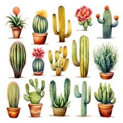 Watercolor illustration of a collection of desert cacti