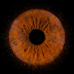 Close up of eye iris on black background, macro, photography