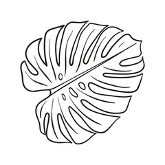 Leaf line art vector hand drawn illustration. Black and white leaves
