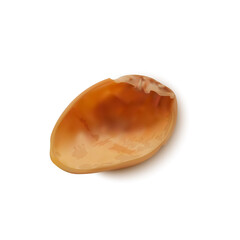 Realistic Detailed 3d Whole Pistachio Nut Kernel Tasty Snack Concept. Vector illustration of Single Pistachio Nut