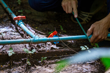 Selective focus blue PVC water pipe. Using a small saw to cut plastic water pipe. To repair the...