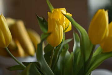 spring yellow tulips in a bouquet
